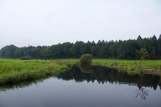 Sorge vor Tetenhusen