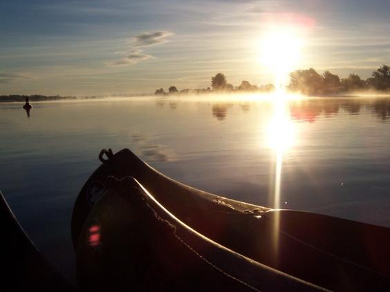 Am frühen Morgen auf der Oder