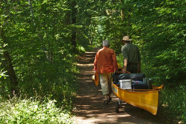 immer noch durch den Wald