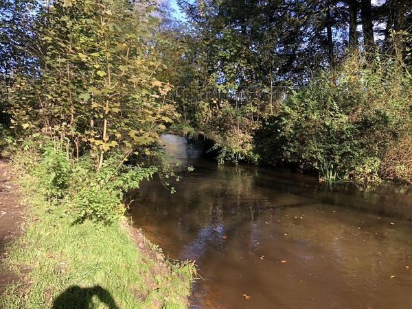 Umtrage Wehr Sandfeld Umtrage Wehr Sandfeld