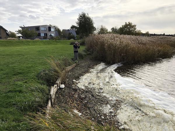 Strandufer oder Kante zum Einsetzen