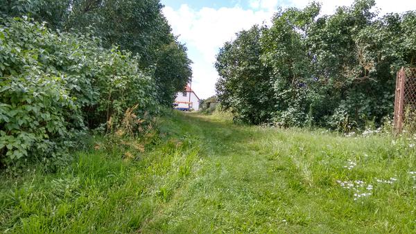 Grasweg zur Spree