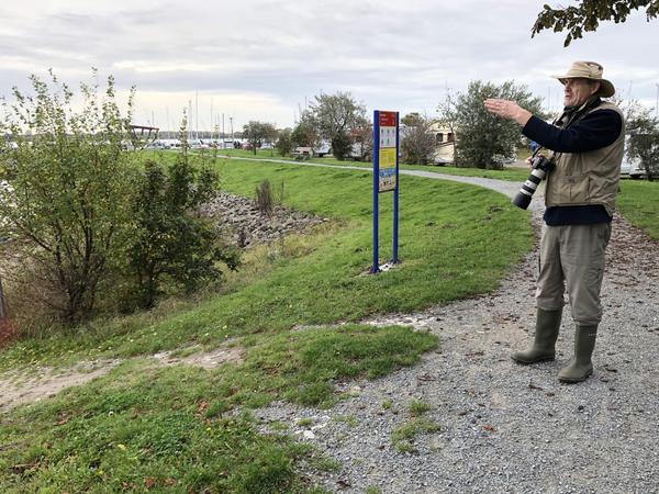 zur Einsetzstelle über den Deich in Maasholm