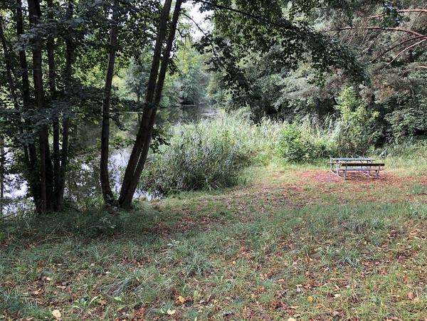 einsetzen am Ufer der Schnellen Havel