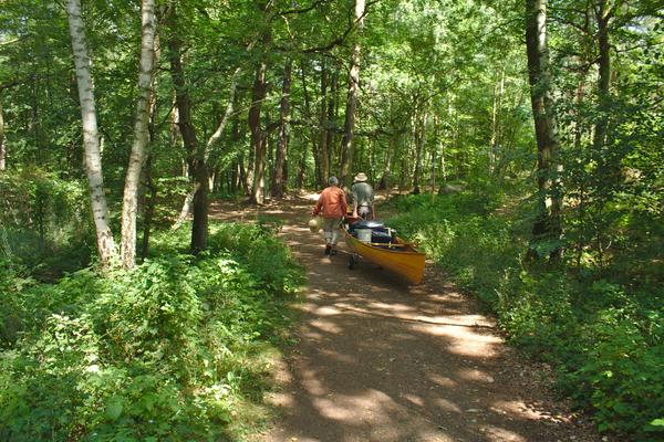 weiter durch den Wald