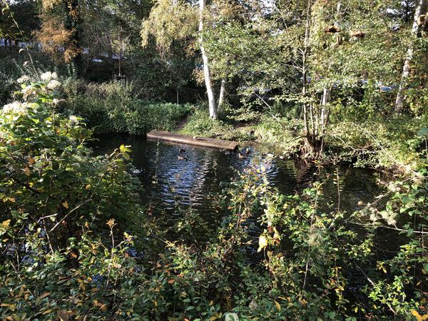 Einsetzstelle Bürgerpark in den Stadtarm