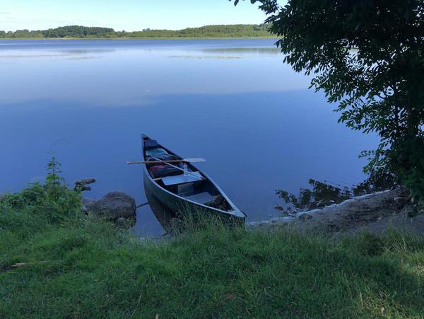 Aussetzen in Wustrau, Ruppiner See