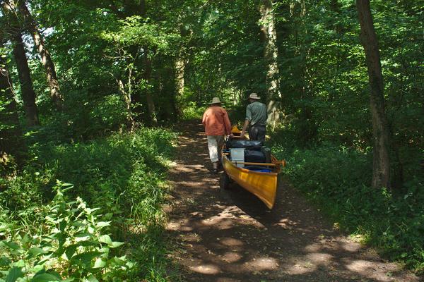 weiter durch den Wald