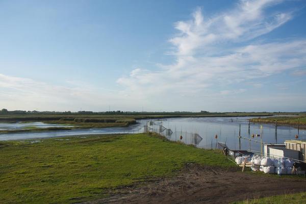 Nordwestseite der Schleuse Nordfeld