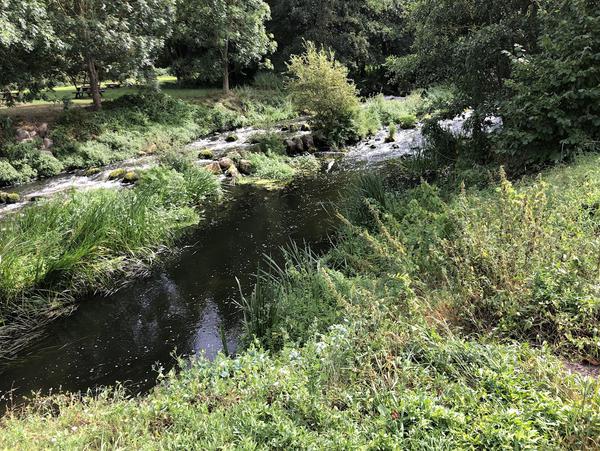rechts aussetzen, falls man im Naturdorf Eickhof übernachten möchte