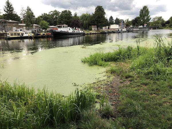 einsetzen an alter Sliprampe