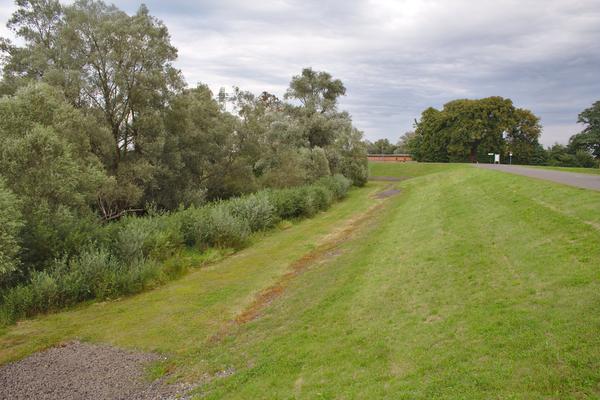 Zuwegung zur Einsetzstelle am Brieskower See