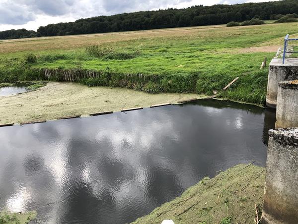 aussteigen am linken Ufer vor dem Wehr aussteigen am linken Ufer vor dem Wehr