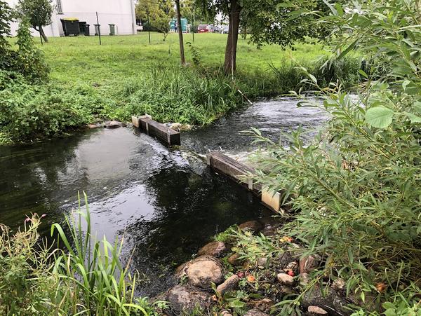 Balken und Sohlgleite Balken und Sohlgleite