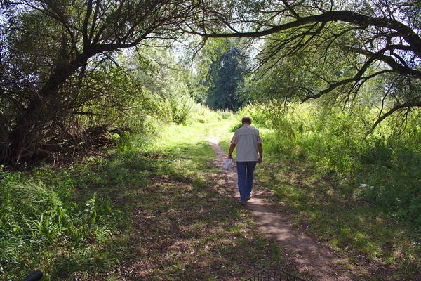 Weg auf dem Ziegenwerder