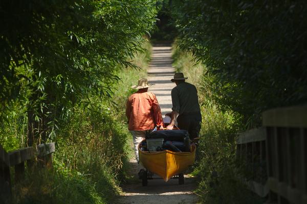 der Weg zum Wald