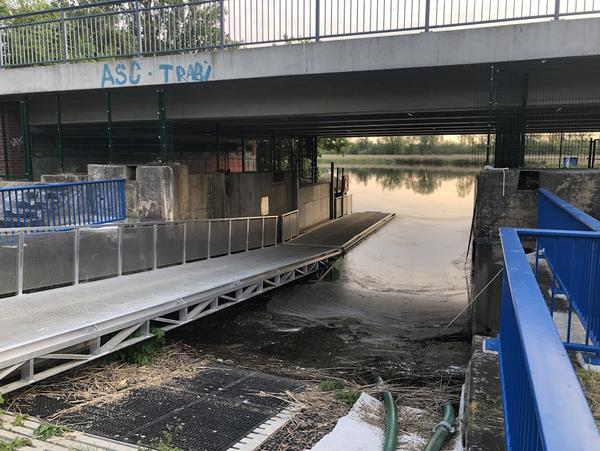 wieder einsetzen wieder einsetzen