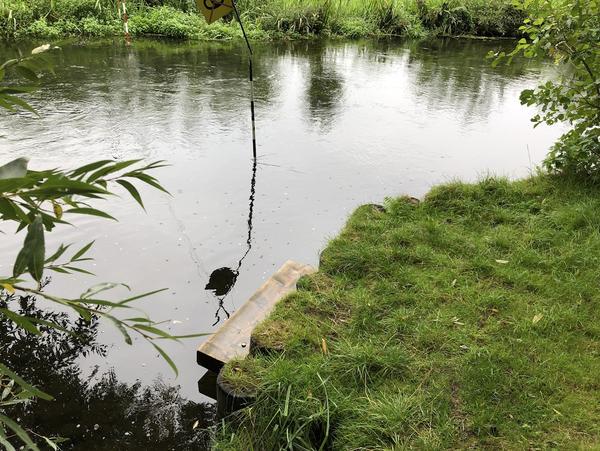wieder einsetzen wieder einsetzen