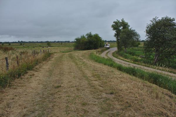 Zuwegung zur Kanueinsetzstelle Büngerberg