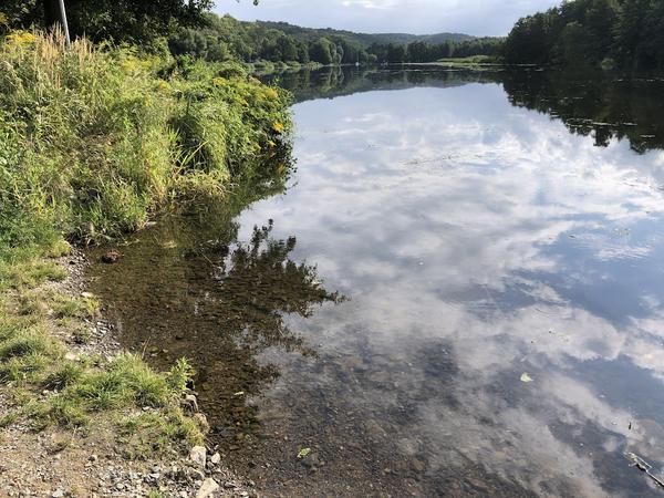 Einsetzstelle Oderberger See, Liepe Einsetzstelle Oderberger See, Liepe
