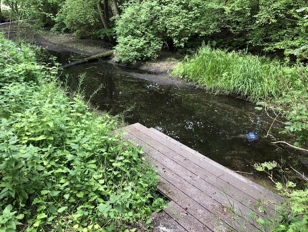 Holzsteg in Zippelsförde