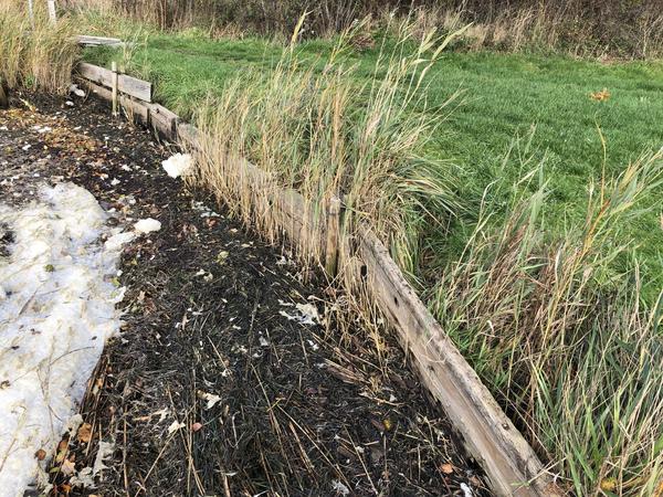 Einsetzen neben der Steganlage in Rückeberg