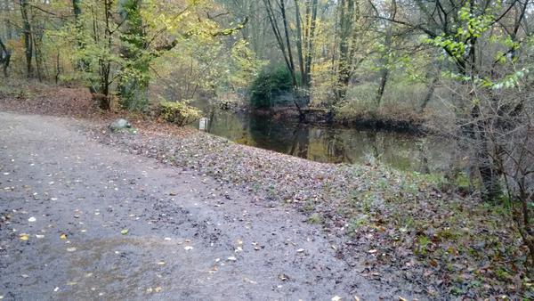 Einsetzstelle Haselknick bei Hochwasser