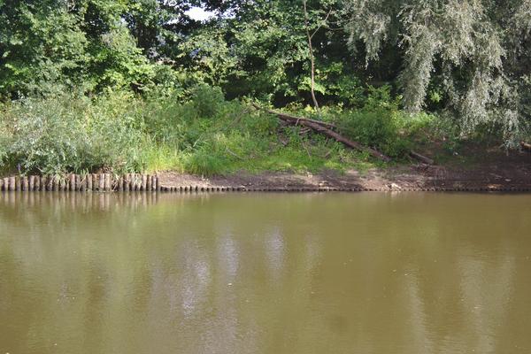 Einsetzmöglichkeit auf dem Ziegenwerder