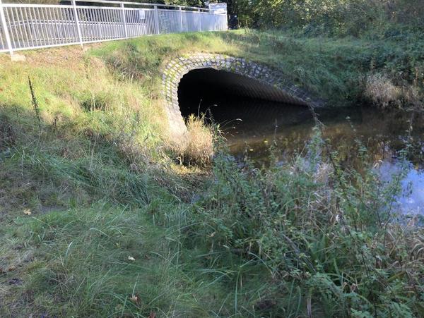 Einsetzen unterhalb der Brücke Einsetzen unterhalb der Brücke