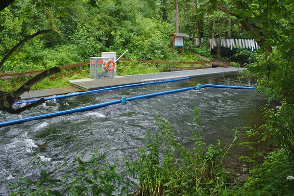 Hochwasser beim Borsenfischpass in Plön Spitzenort