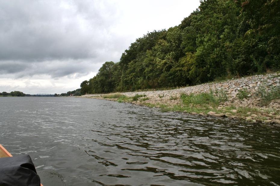Die Oder vor Krajnik Dolny