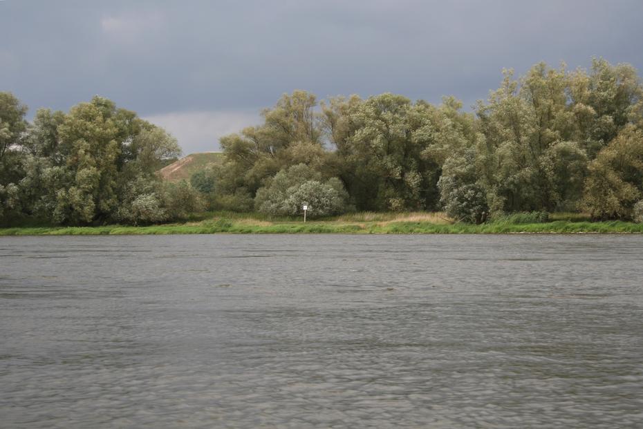 Die Oder, polnisches Oderufer bei km 660