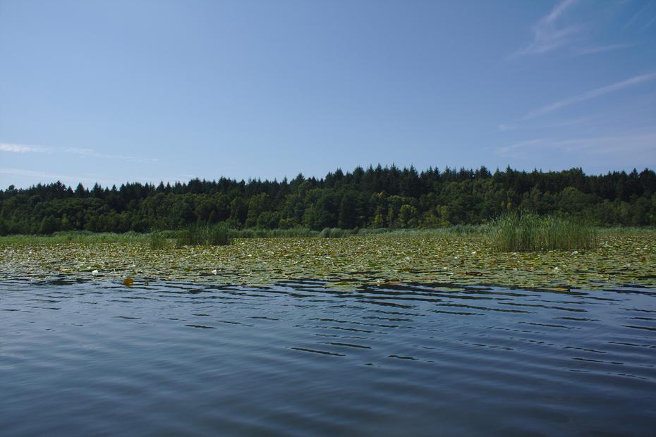 Großer Kotzower See
