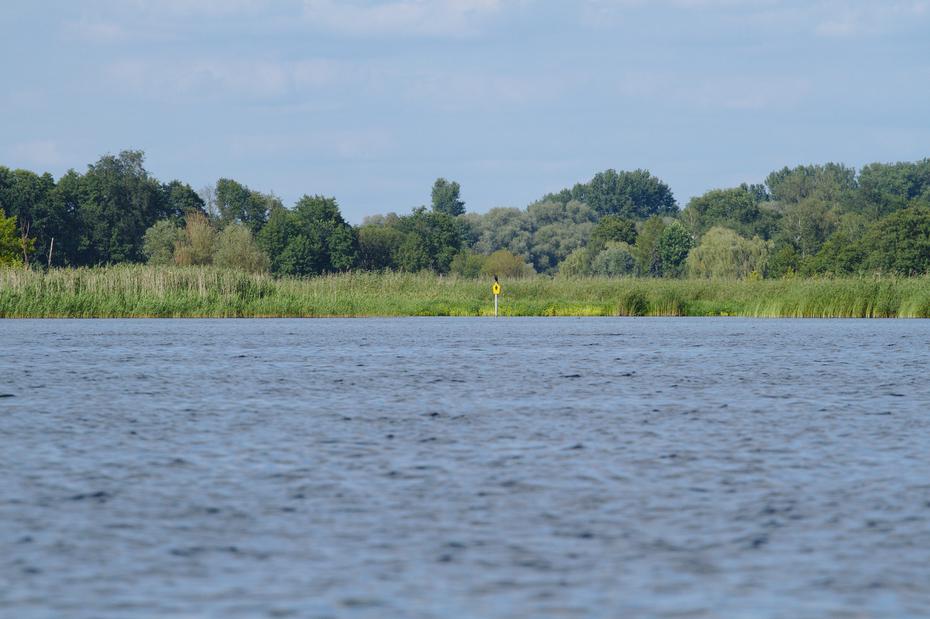 wildes Ufer an der Havel bei Werder