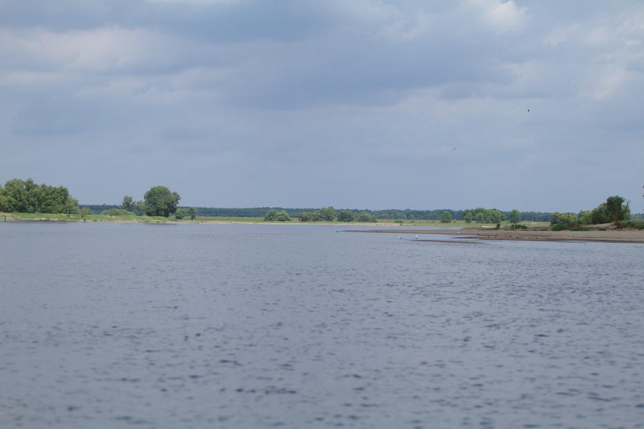 Elbe bei niedrigem Wasserstand