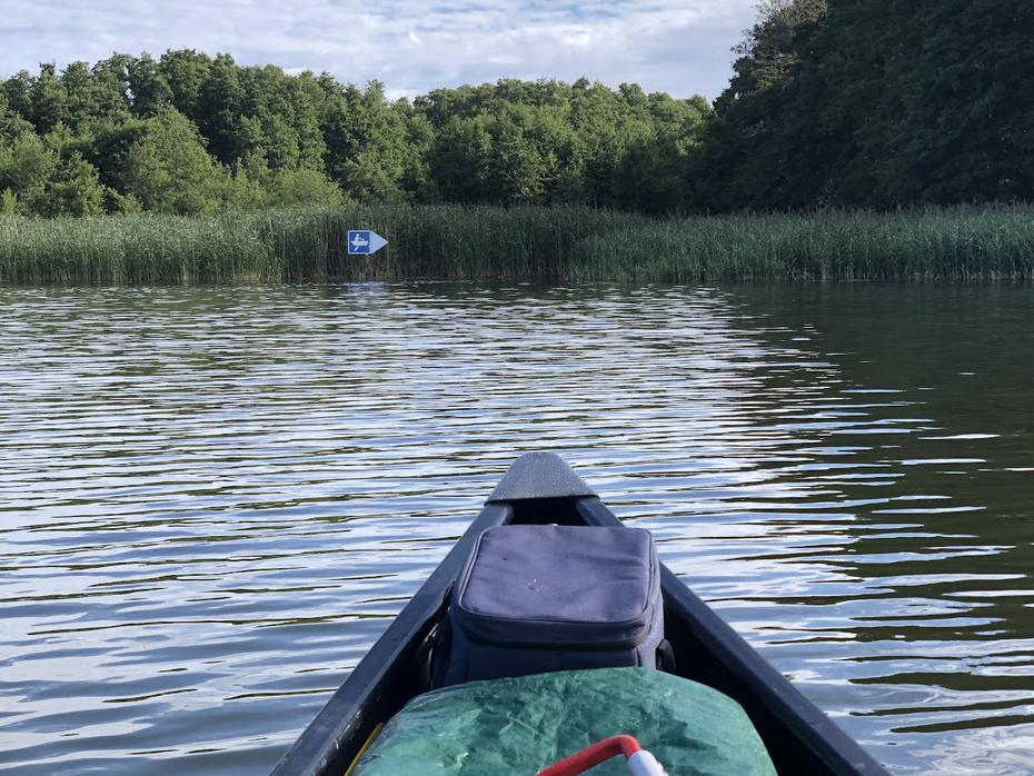 auf dem Bützsee: Abzweig des Mühlenrhins Altfriesack