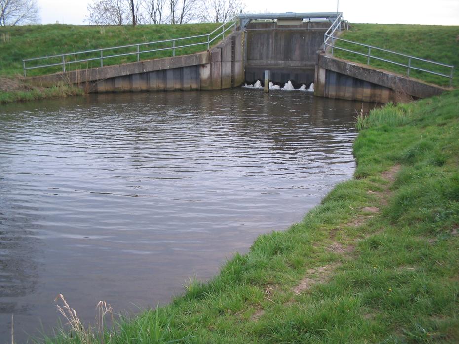 "Mündung" Neetze in den Ilmenau-Kanal