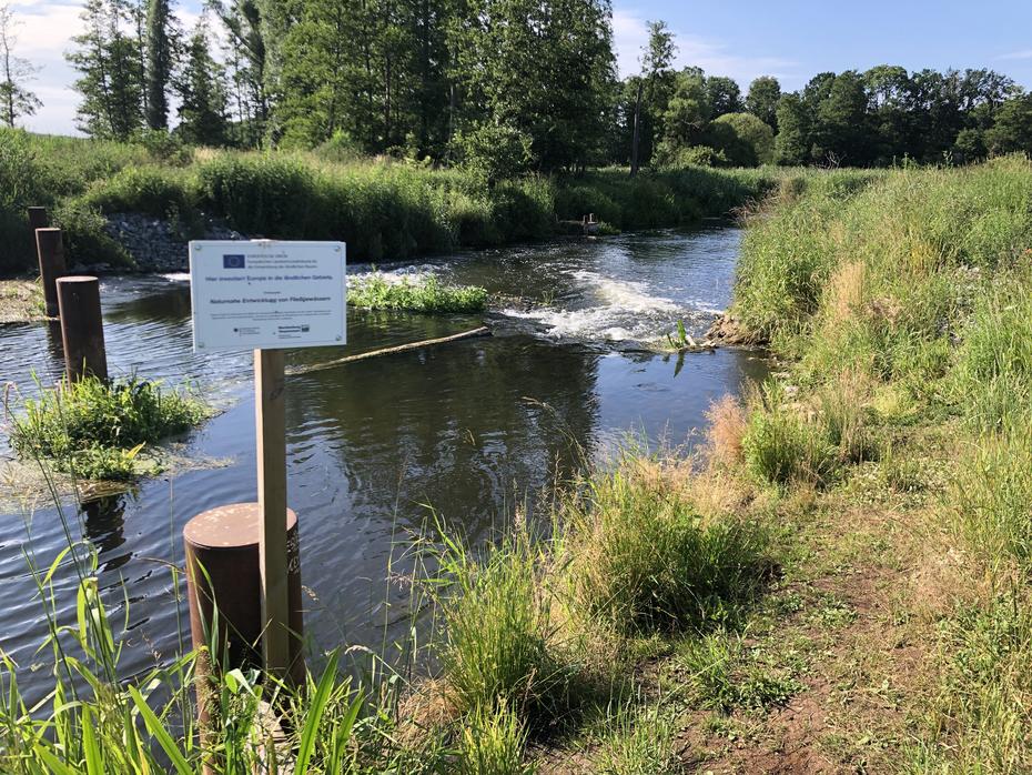 renatureirter Altarm der Tollense beim Wehr Roidin