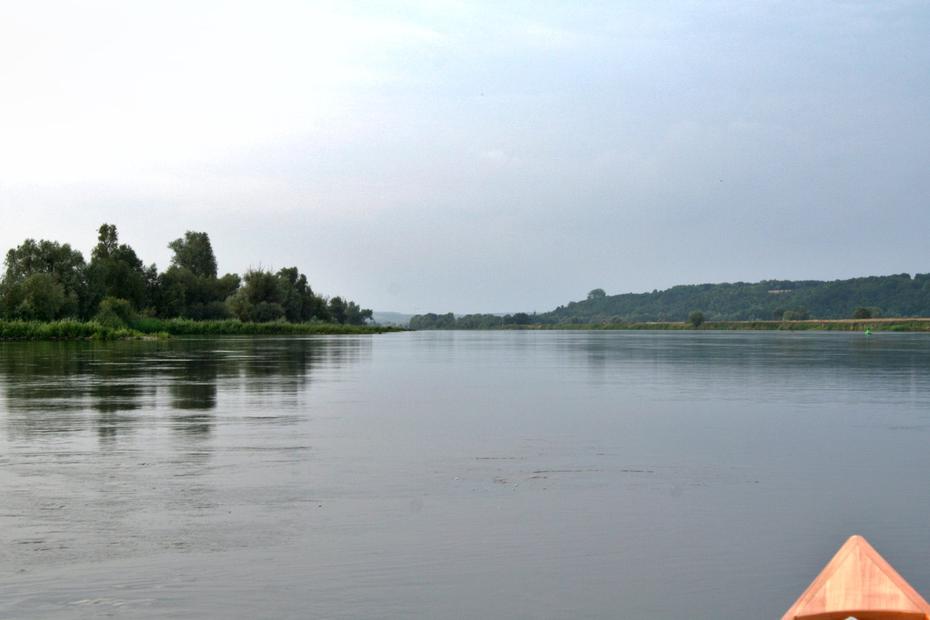 Die Oder nahe Bielinek