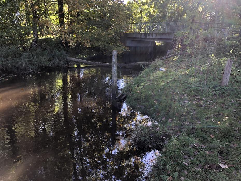 Alster, Straßenbrücke bei Gut Stegen