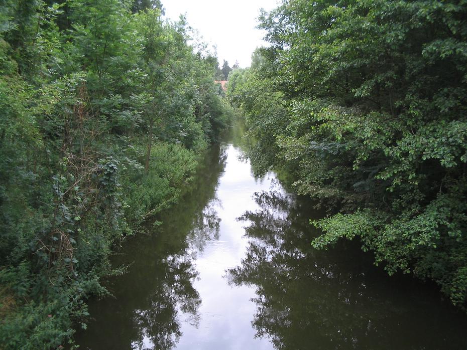 Mildenitzkanal unterhalb Zülow