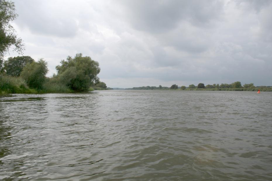 Die Oder nahe Spitz ca km 657