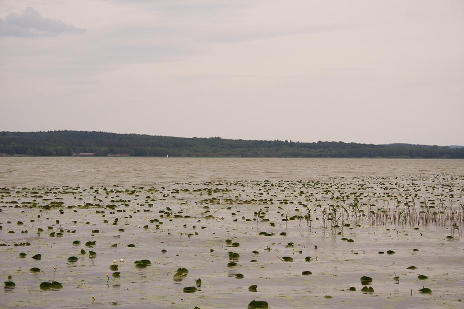 Malchiner See bei Bristow