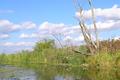 Polnische Polder