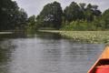 Bruchsee, vor dem Gleuensee