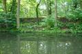 schönes Ufer am Finowkanal schönes Ufer am Finowkanal