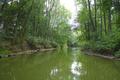 Trave bei Dreggers