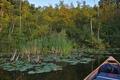 Wildnis in der  Balinka