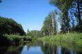 Bramau durch Wald