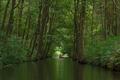Havel vor Babke